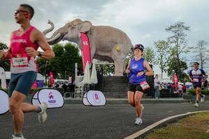 BIB: 
                            <button type="button" onclick="openModal(26528531)" class="btn btn-primary btn-sm float-right btn-popup" data-toggle="modal" data-target=".modal-high-quality">
                        <i class="fas fa-shopping-cart"></i> Add to Cart
                    </button>
                                            <button type="button" onclick="isThisMe(26528531, true)" class="btn btn-success btn-sm float-right btn-popup btn-isme hidden" data-toggle="tooltip" data-placement="bottom" title="นี่คือรูปของคุณใช่ไหม คลิกที่นี่เพื่อเอาเข้าอัลบั้ม">
                        <i class="fas fa-plus"></i> Add to album
                    </button>
                    <button type="button" onclick="isThisMe(26528531, false)" class="btn btn-warning btn-sm float-right btn-popup btn-isnotme hidden">
                        <i class="fas fa-ban"></i> Remove from album
                    </button>